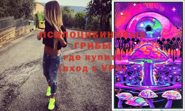 шишки Верхнеуральск